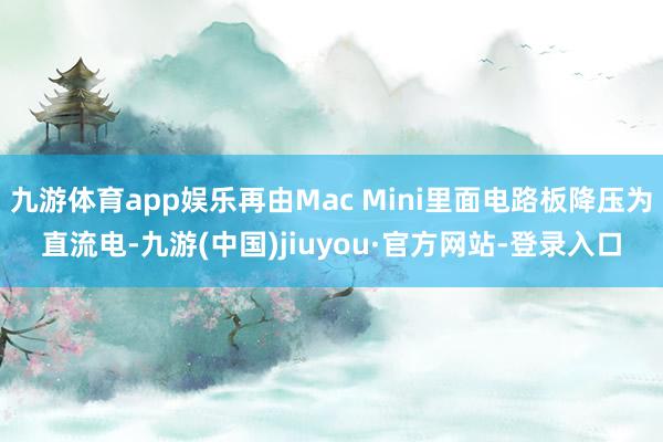 九游体育app娱乐再由Mac Mini里面电路板降压为直流电-九游(中国)jiuyou·官方网站-登录入口