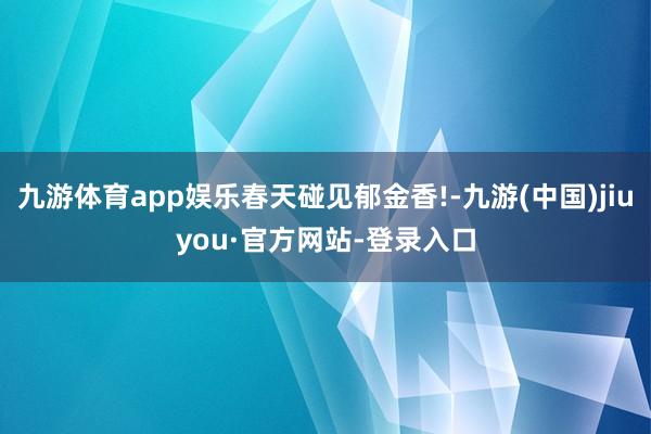 九游体育app娱乐春天碰见郁金香!-九游(中国)jiuyou·官方网站-登录入口